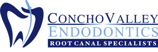Top Endodontic Office in West San Angelo